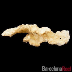 Roca Aquaroche Estructura 6 | Barcelona Reef