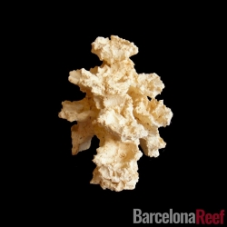 Roca Aquaroche Estructura 8 para acuario marino | Barcelona Reef