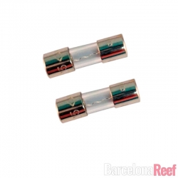 Fusibles (2 pack) para Radion XR15 | Barcelona Reef