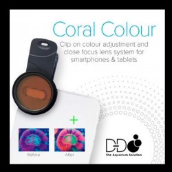 Comprar Clip fotográfico D-D Coral Colors online en Barcelona Reef