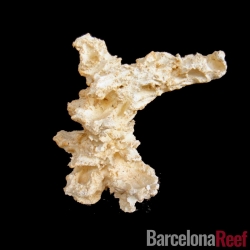 Roca Aquaroche Estructura 3 | Barcelona Reef